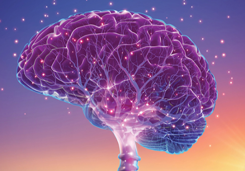 TITAN Health Awards Winner -  VNS Brain Tree By Elevate Healthcare