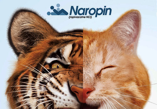 TITAN Health Gold - NAROPIN® eDetail Aid