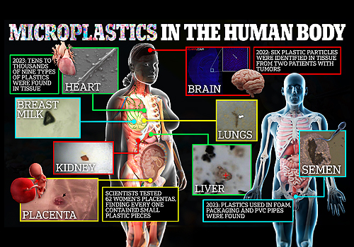 Awareness of the microplastics