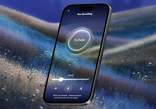Sonara – AI-Powered Emotional Wellness Companion, Healthcare Awards Winner