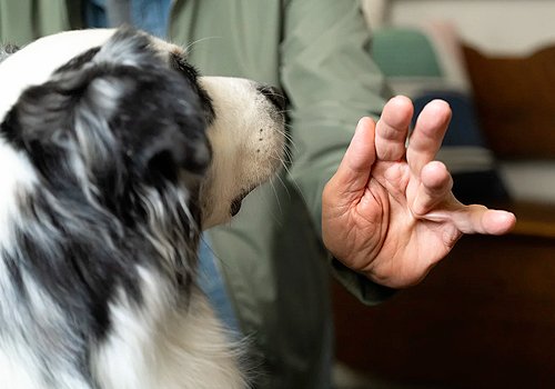 TITAN Health Awards Winner -  5 Simple Reminders By Fingerpaint Marketing