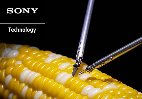 TITAN Health Awards - Microsurgery Assistance Robot Stitching a Corn Kernel | Sony Group