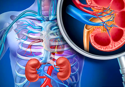 TITAN Health Awards Winner -  Kidney cancer By American Kidney Fund